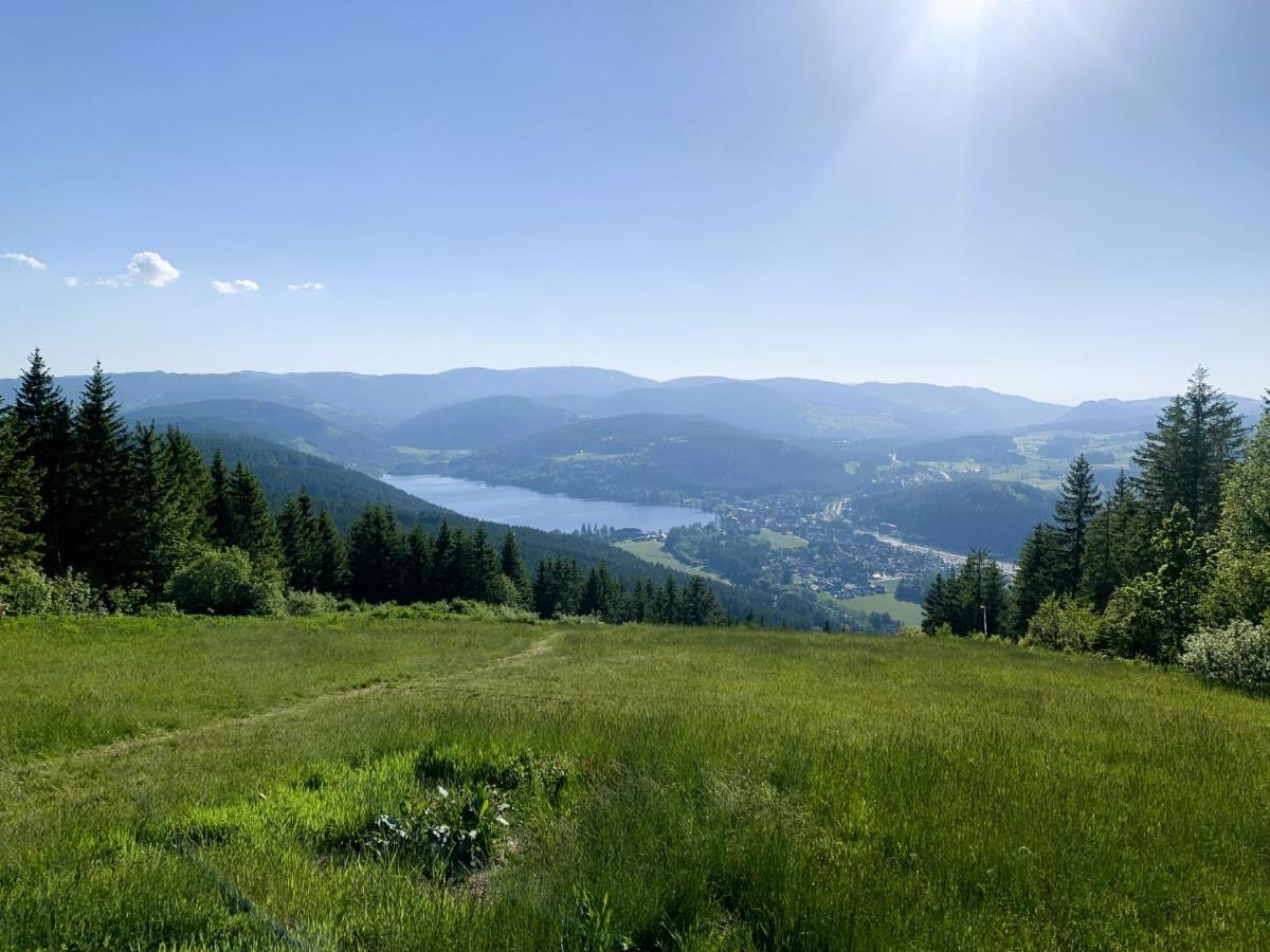 Traumwerk Apartment Titisee-Neustadt